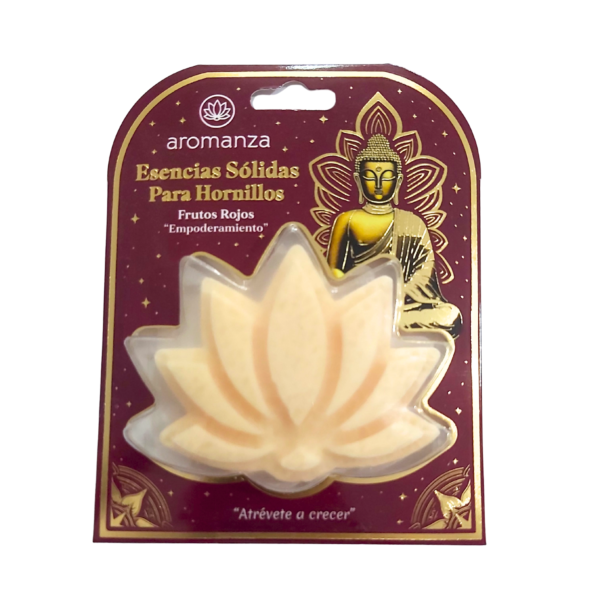 AROMANZA esencia solida Frutos Rojos
